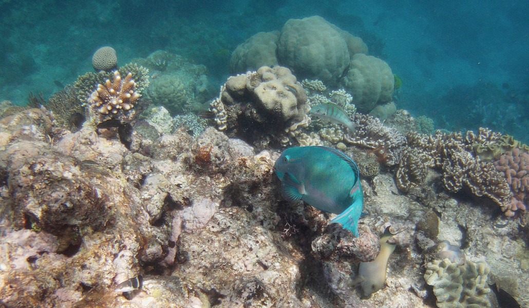 Great Barrier Reef