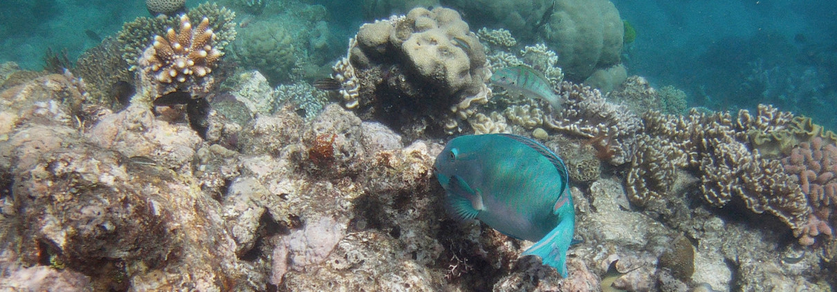 Great Barrier Reef