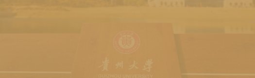 栏目用于追新