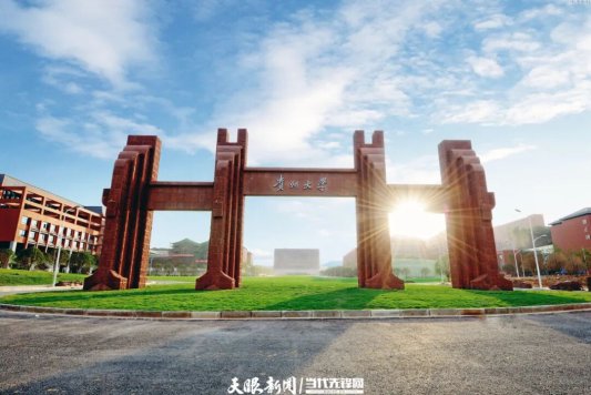 栏目用于追新
