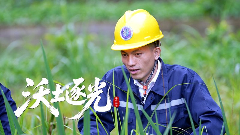 可先确认当前栏目名称