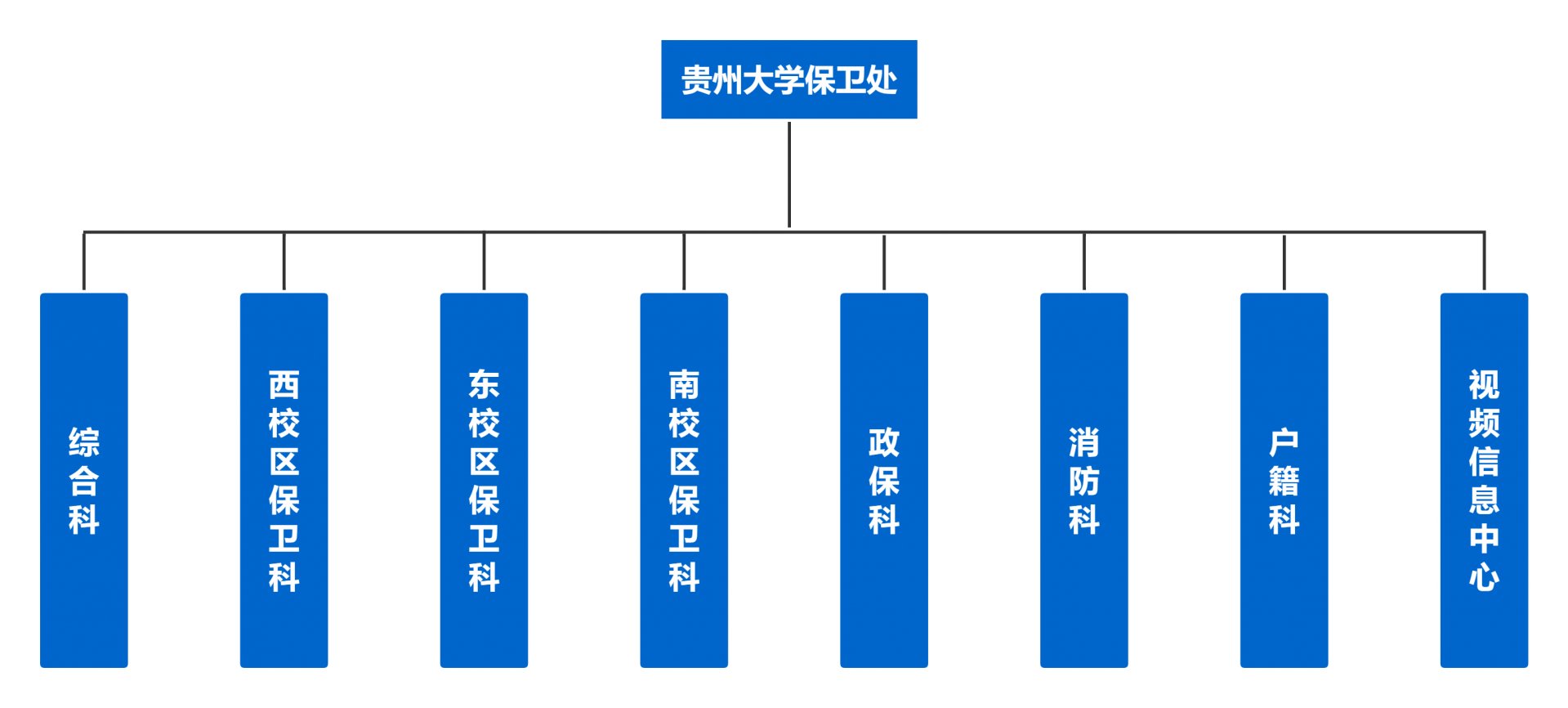 中国世界杯官网首页app下载党支部委员会